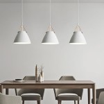 Snail Mouth Single -Head Chandelier, Nordic -Style Metal Pendant Lamp